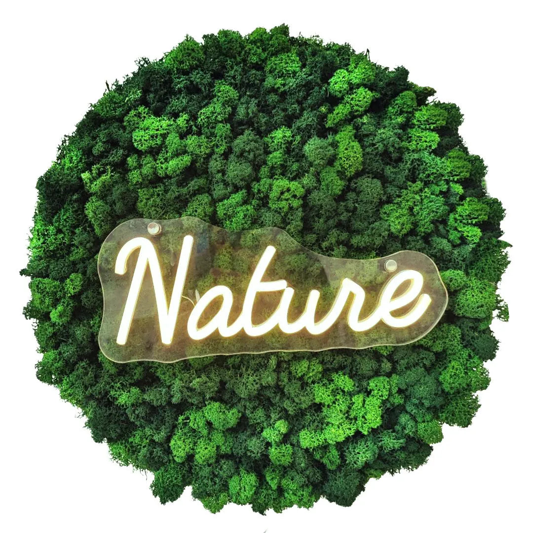 Quadro con muschio stabilizzato e scritta “Nature” illuminata a LED