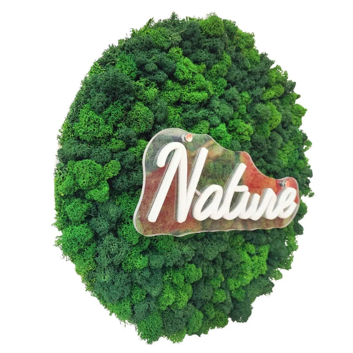 Vista laterale di quadro tondo con  licheni scritta Nature 