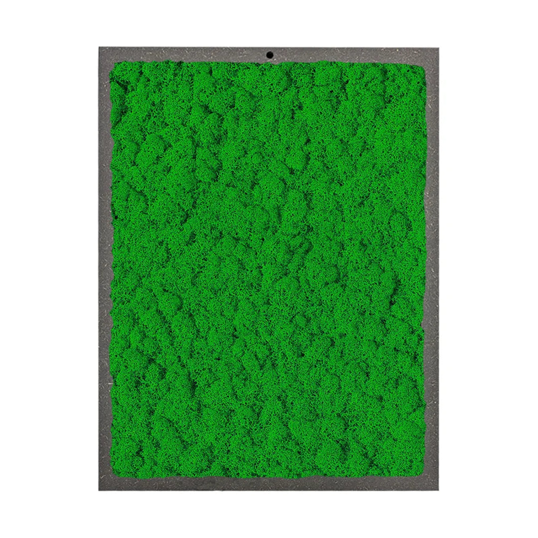 quadro rettangolare di licheni di colore verde scuro 