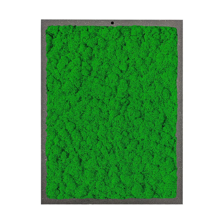 quadro rettangolare di licheni di colore verde scuro 