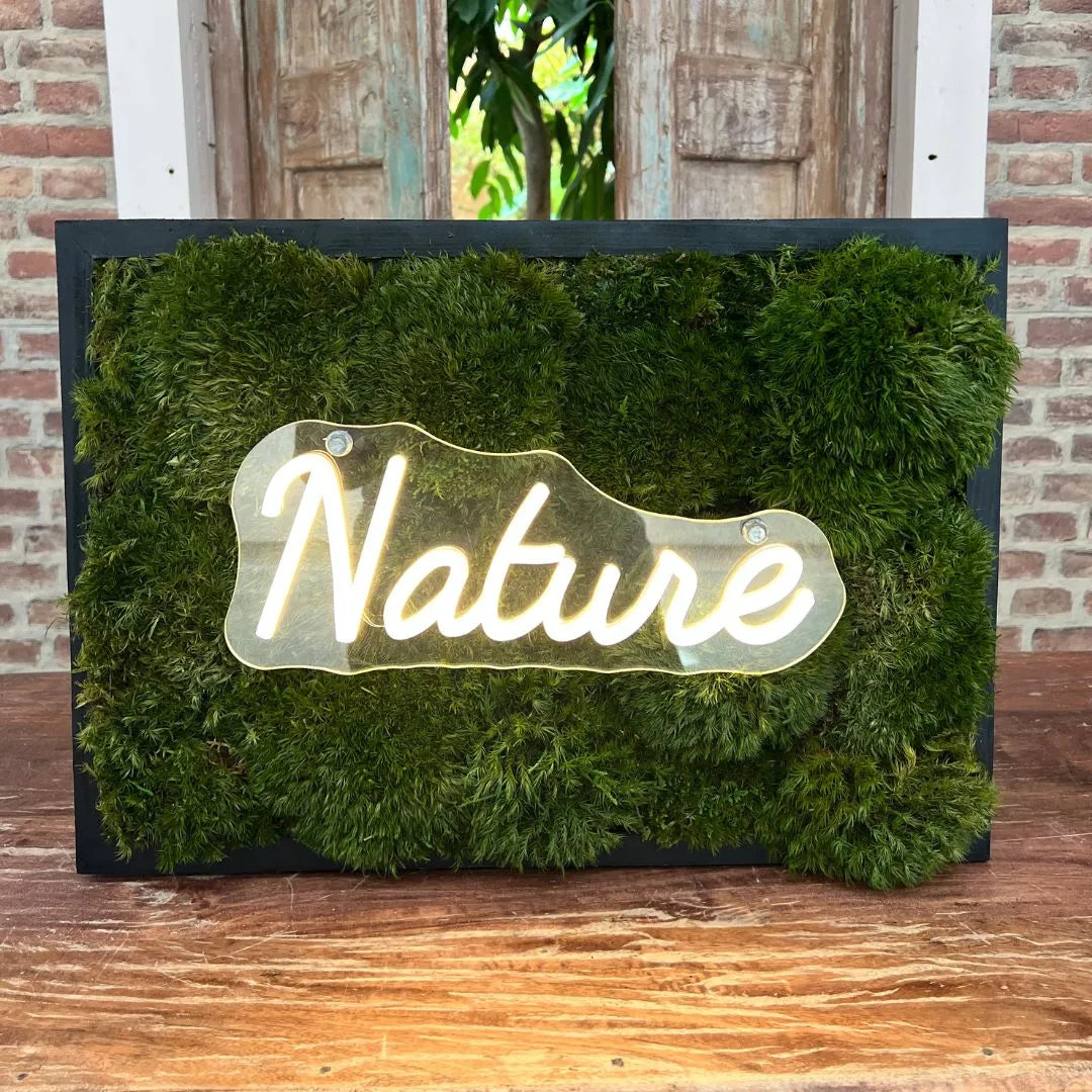 Quadro rettangolare in muschio stabilizzato con scritta LED Nature acceso su fondo in legno