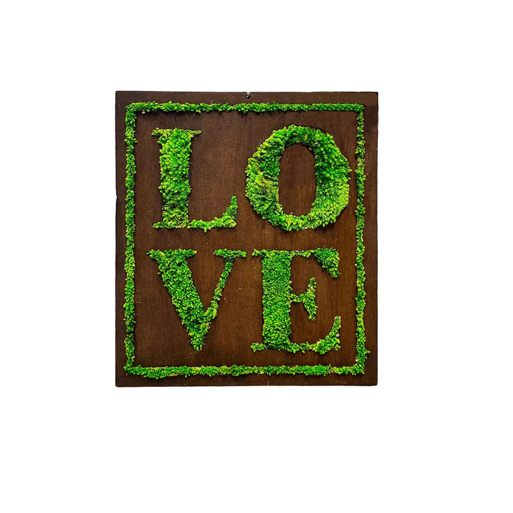 immagine mostra un quadro con scritta love con muchio stabilizato 