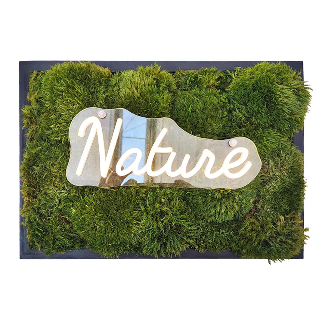 Foto su fondo neutro del quadro rettangolare in muschio con LED Nature acceso