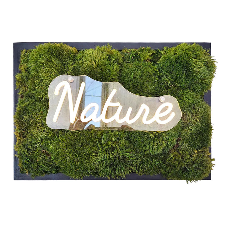 Foto su fondo neutro del quadro rettangolare in muschio con LED Nature acceso
