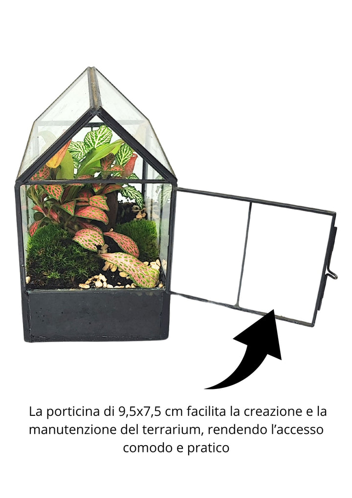 Kit Terrarium Geometrico Fai Da Te Monica | Crea il Tuo Giardino da Interno