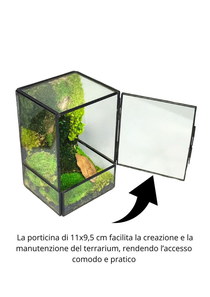 L'immagine mostra un terrario cubico aperto, con una porticina di vetro di dimensioni 11x9,5 cm che si apre sul lato anteriore. Questo dettaglio viene evidenziato da una freccia nera che punta verso la porticina aperta. Sotto l'immagine, una didascalia spiega che la porticina facilita la creazione e la manutenzione del terrario, rendendo l'accesso comodo e pratico. All'interno del terrario, il muschio verde crea un piccolo paesaggio naturale decorato con elementi di legno.