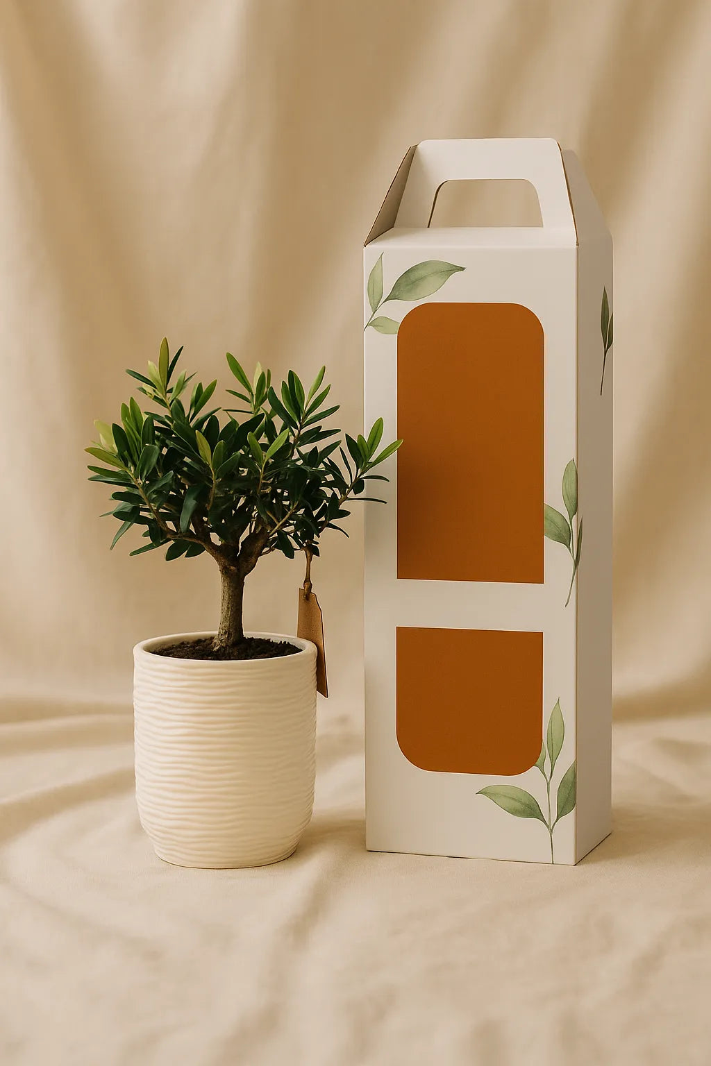 Scatola con Finestra | Packaging Rigido 38x 14 cm - i Giardini di Giulia  