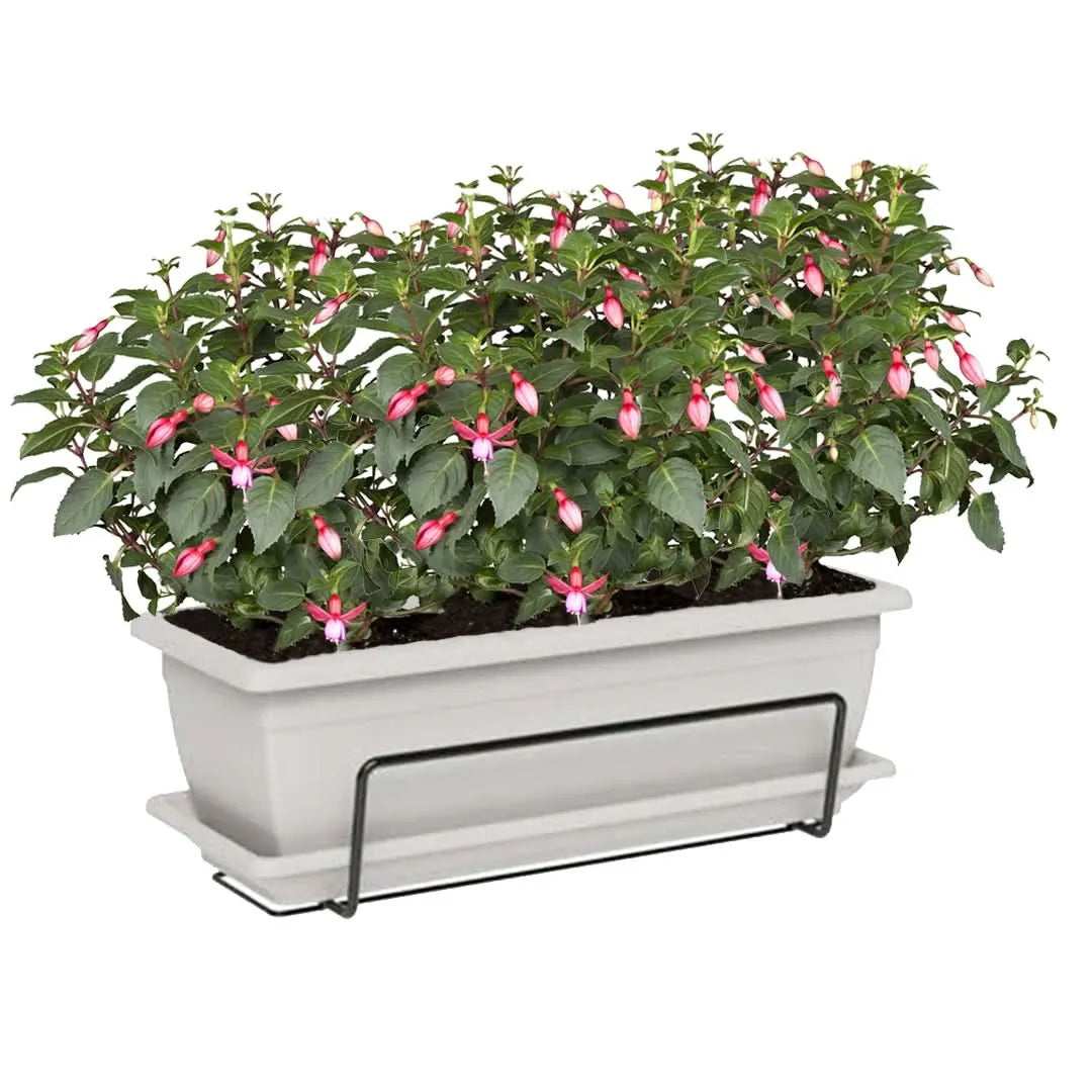 Set 3 piante di Fucsia in fioriera Nara bianca da 40 cm – I Giardini di Giulia

