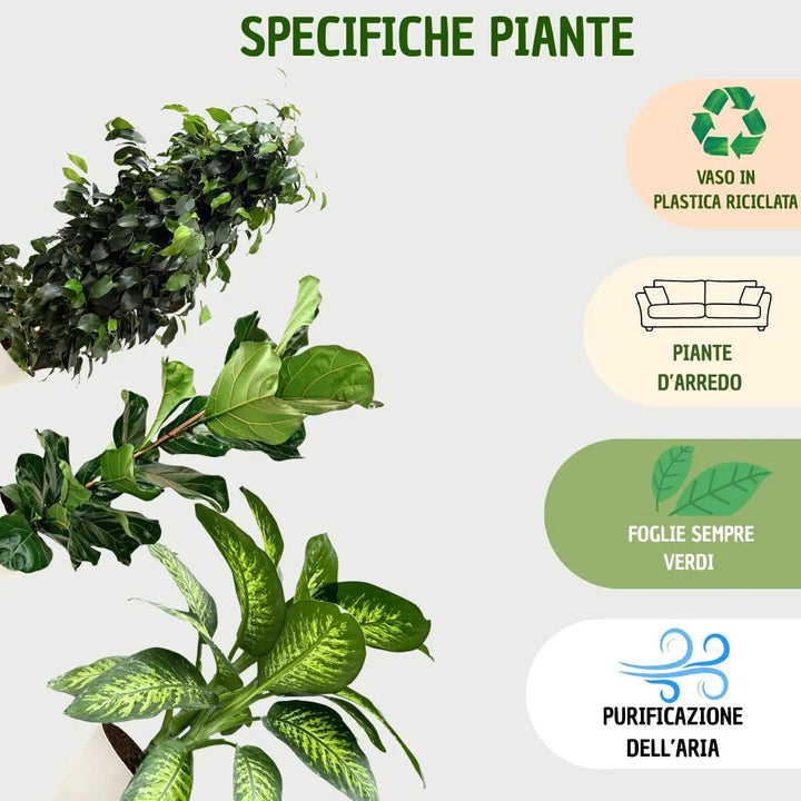Tag illustrati: vaso in plastica riciclata, piante d’arredo, foglie sempreverdi e purificazione dell’aria. Le piante sono inclinate e disposte artisticamente.