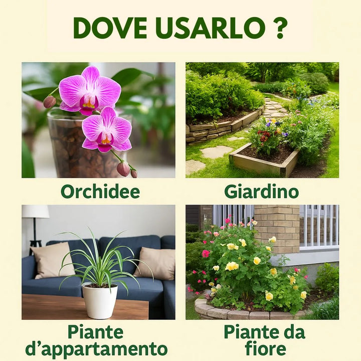 Infografica che mostra i possibili utilizzi del terriccio per orchidee: in vaso, in giardino, per piante da appartamento e piante da fiore.