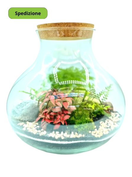 Terrarium Giardino Segreto Urbano