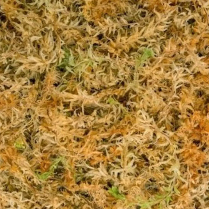 Sacco da 12 litri di muschio sphagnum Blended, perfetto per coltivazioni intensive e indoor