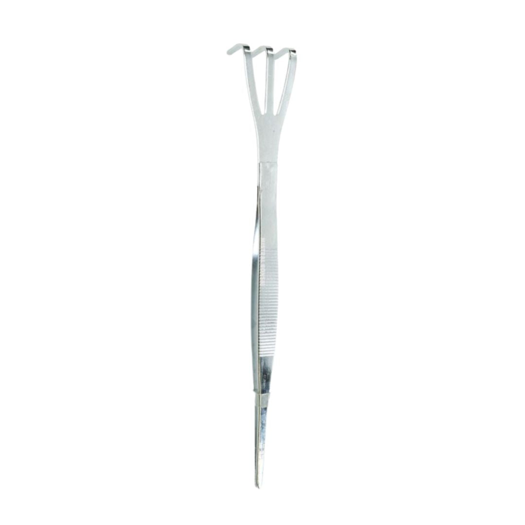 Pinzetta bonsai in acciaio inox con rastrello a tre punte per pulizia e rinvaso