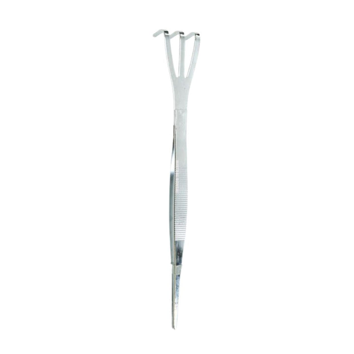 Pinzetta bonsai in acciaio inox con rastrello a tre punte per pulizia e rinvaso