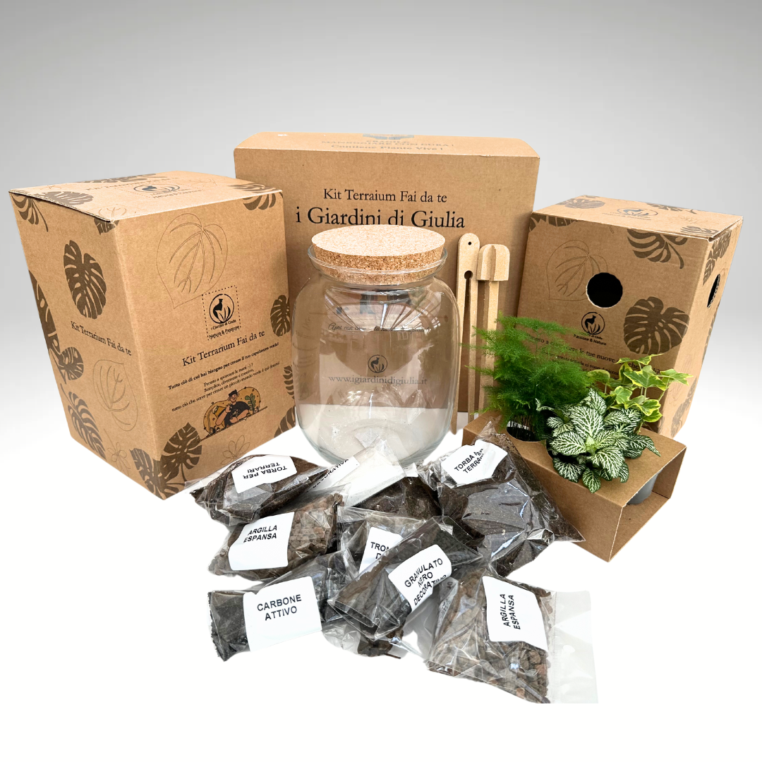 Kit Fai Da Te Terrarium Completo - Crea il Tuo Mini Giardino Elegante