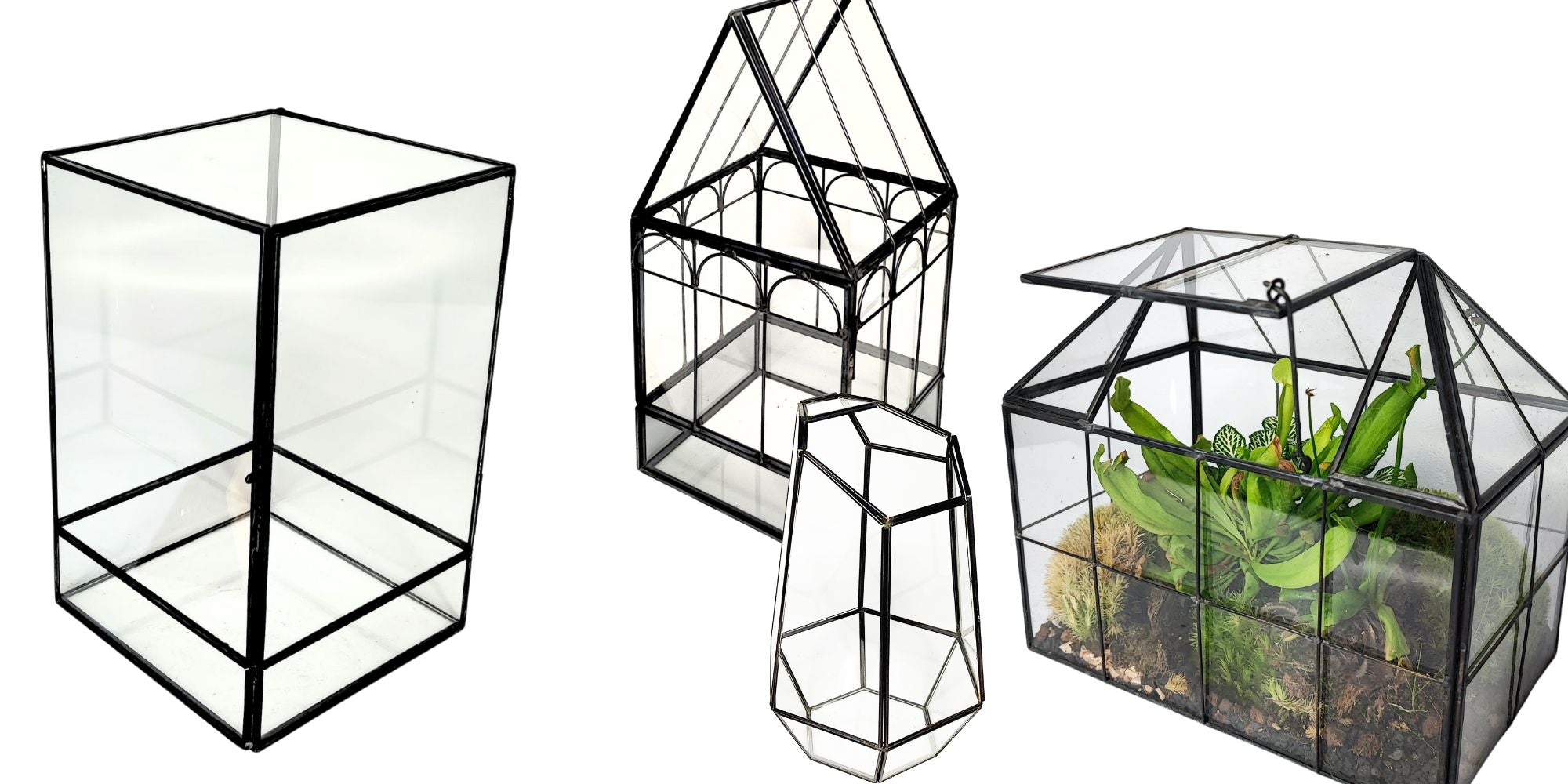 L'immagine mostra una gruppo di contenitori in vetro e ferro nero chiamati Terrarium Geometrici 