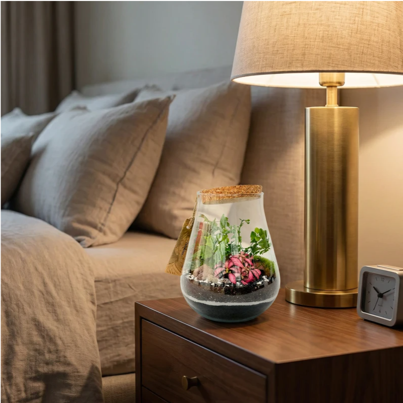 Terrarium in vetro con piante tropicali e muschio su comodino accanto a lampada da tavolo, terrario decorativo per camera da letto