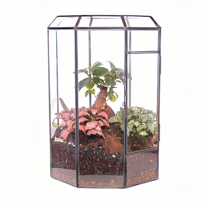 Terrarium Infinito