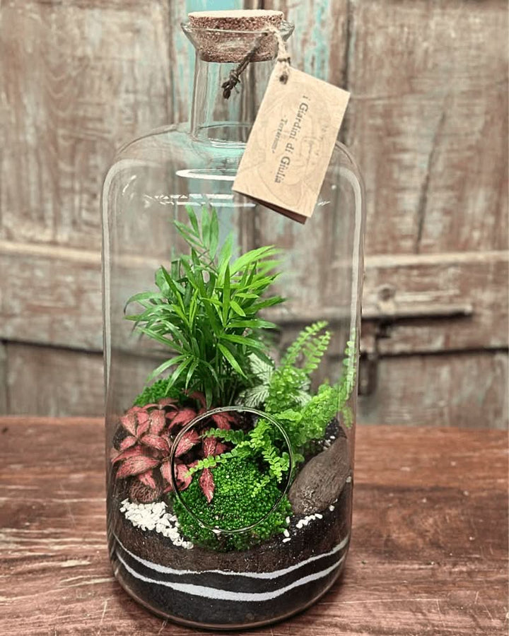 Terrarium chiuso con piante tropicali in contenitore in vetro H43 cm e tappo in sughero