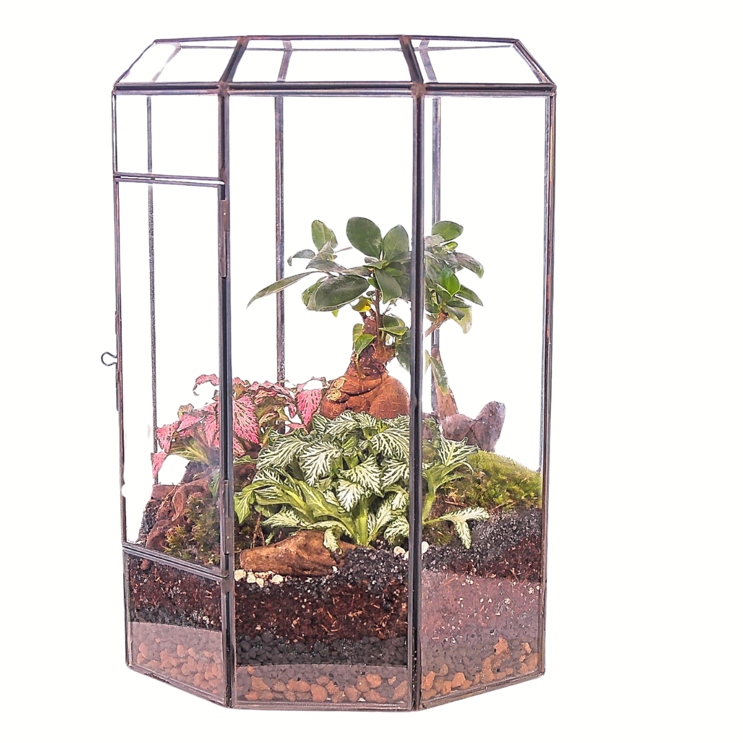 Terrarium Infinito