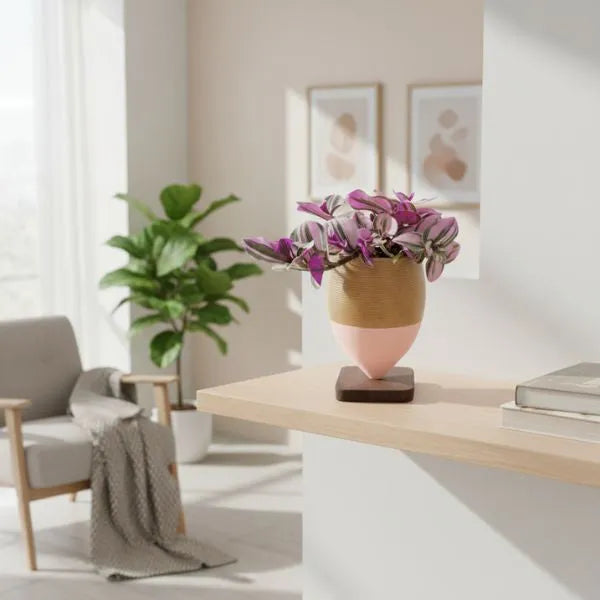 Tradescantia Nanouk in vaso di argilla bicolore con basetta in legno, pianta da interno ideale per soggiorno luminoso