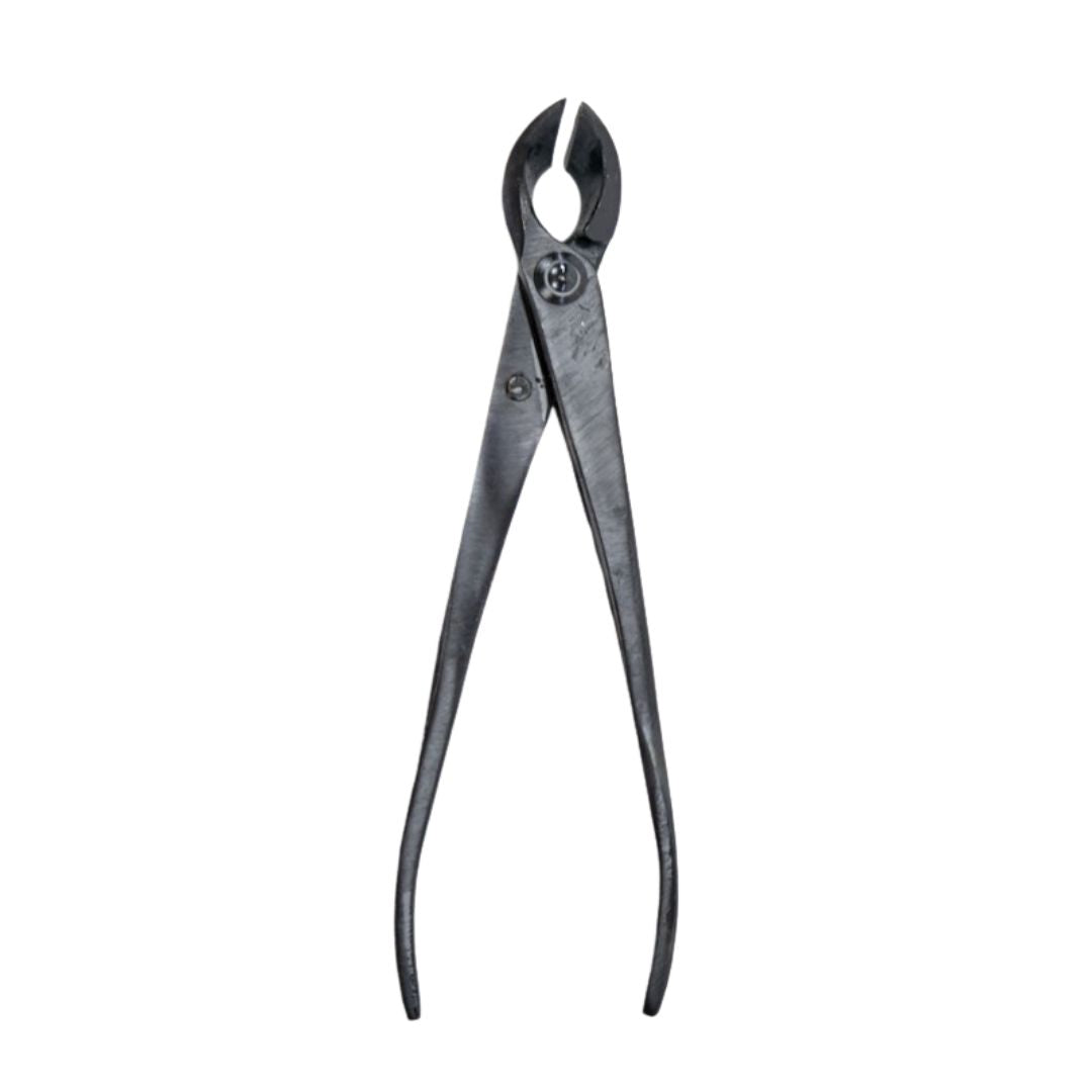 Tronchese concavo a taglio dritto da 170 mm in acciaio nero per potature fini su bonsai