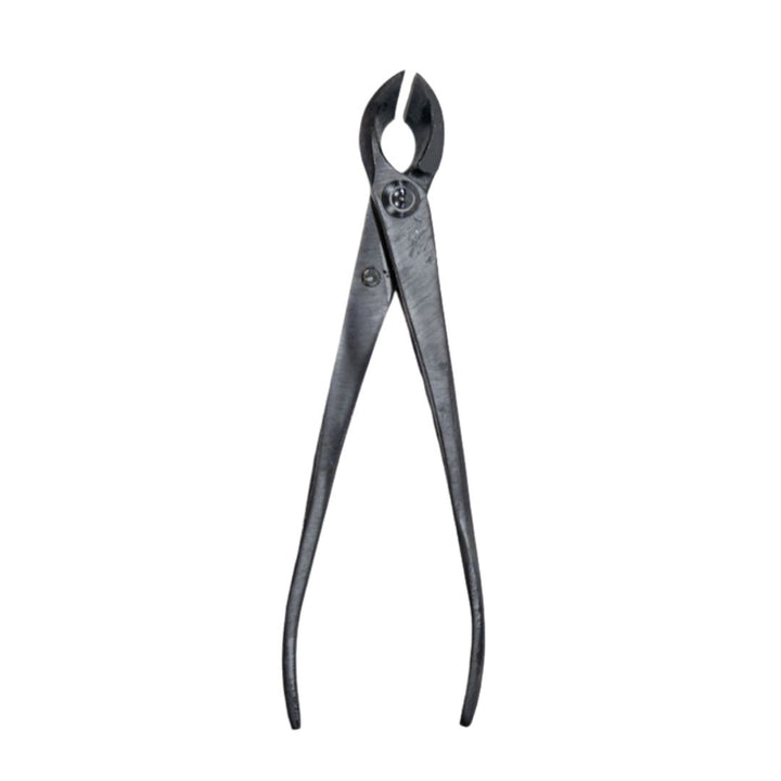 Tronchese concavo a taglio dritto da 170 mm in acciaio nero per potature fini su bonsai