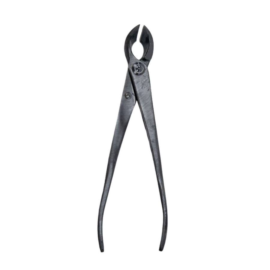 Tronchese concavo a taglio dritto da 170 mm in acciaio nero per potature fini su bonsai