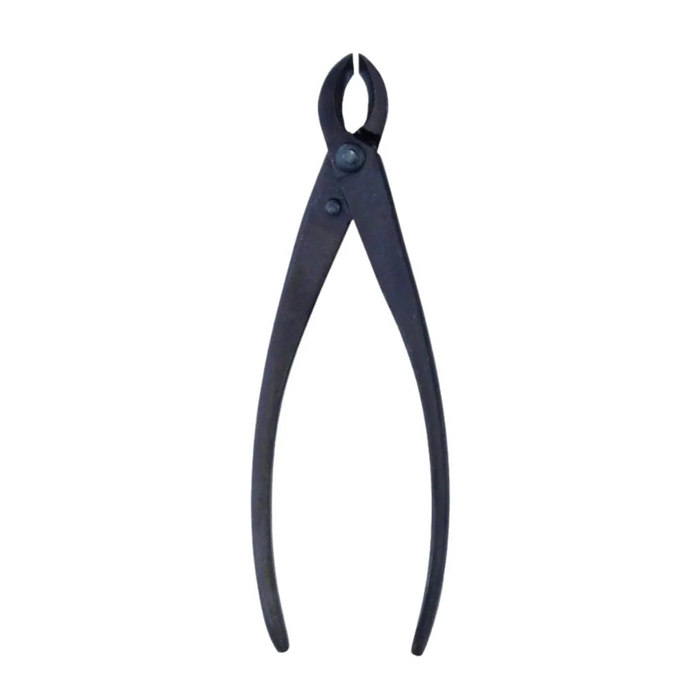 Tronchese concavo a taglio dritto da 200 mm per potature profonde su rami e radici di bonsai

