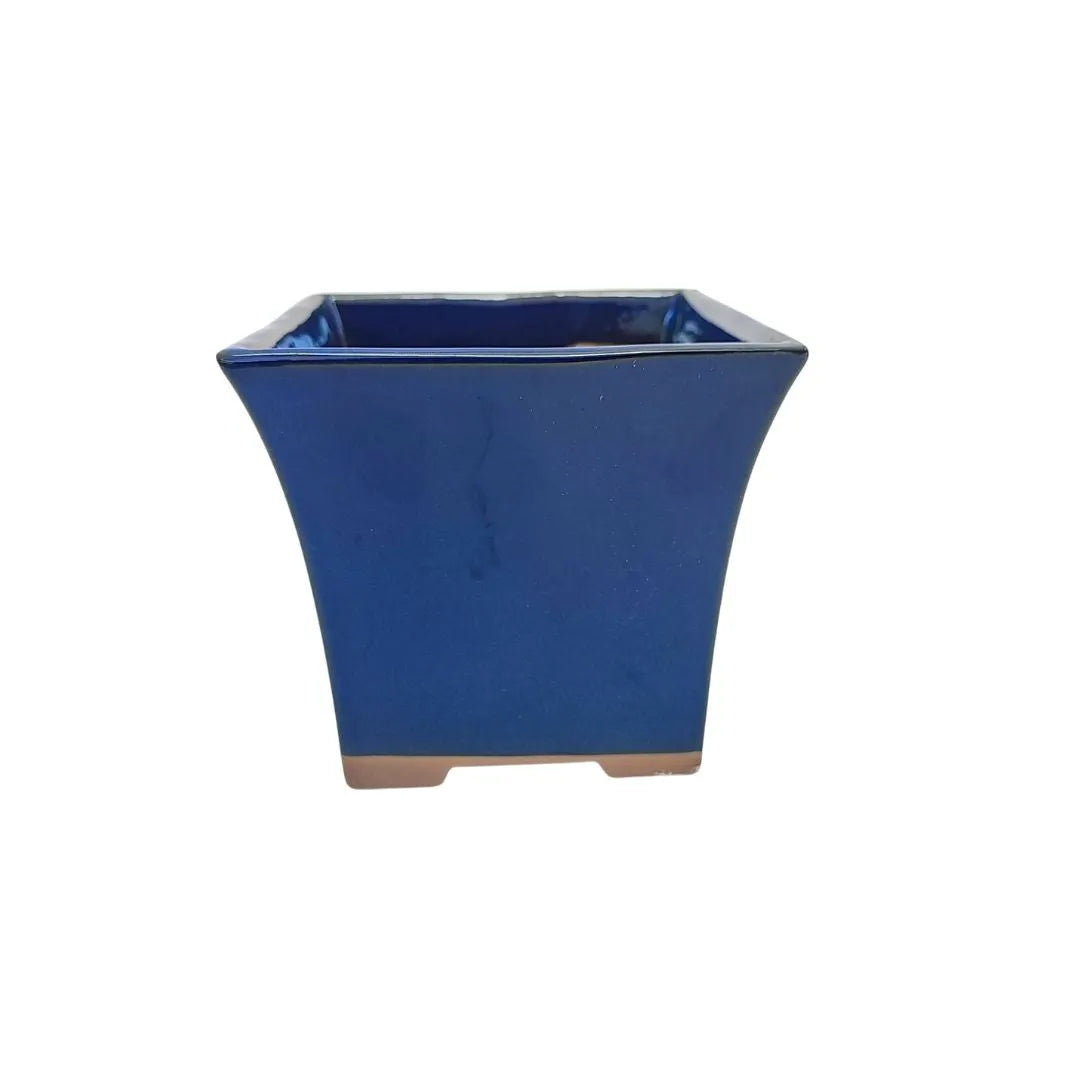 Dettaglio vaso giapponese per bonsai stile Kengai con smalto lucido blu e forma verticale
