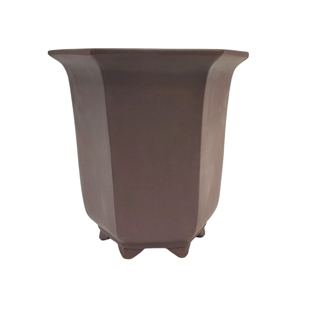 Vaso esagonale marrone per bonsai in stile Kengai - realizzato a Yixing

