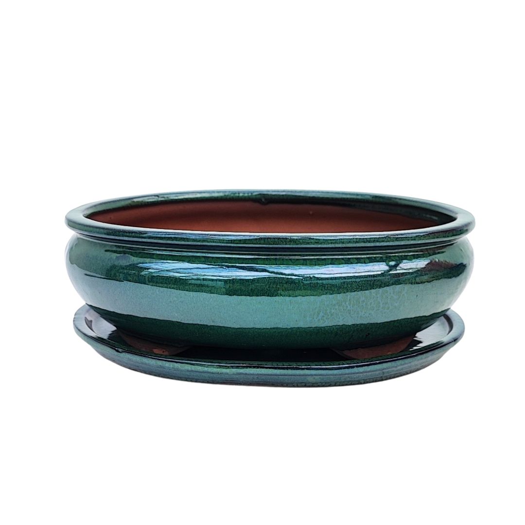 Vaso bonsai ovale in ceramica craquelé con sottovaso – dimensione 30 cm