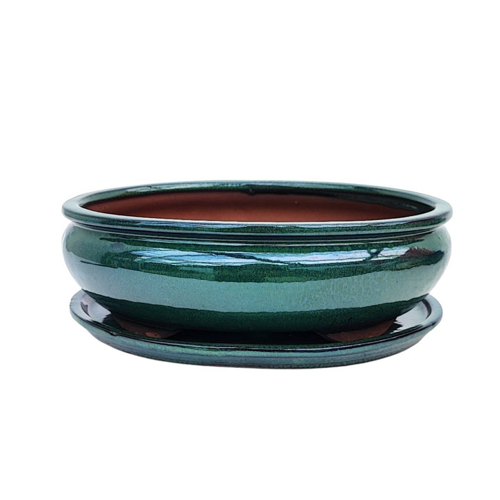 Vaso bonsai ovale in ceramica craquelé con sottovaso – dimensione 30 cm