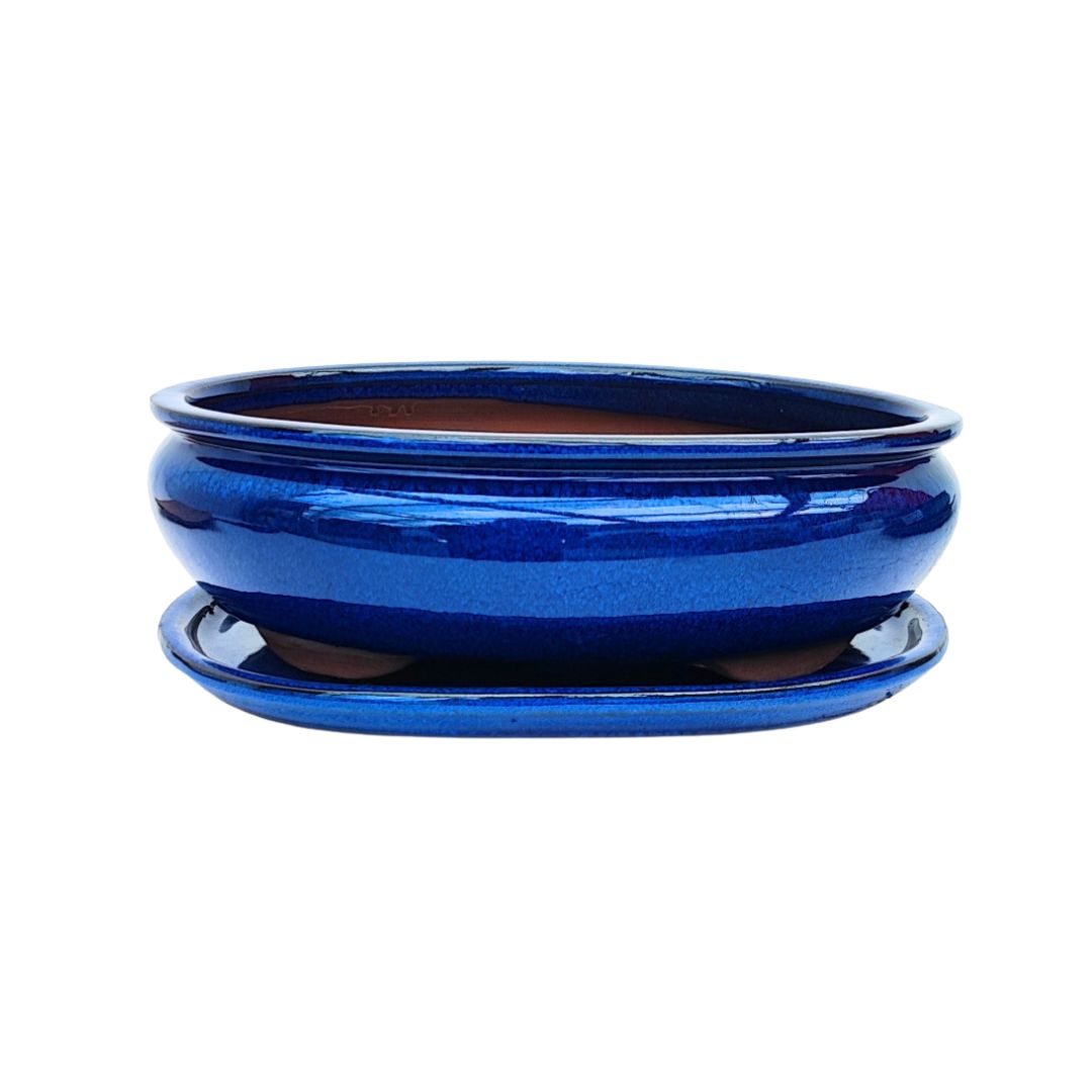 Vaso ovale in ceramica smaltata blu con sottovaso per bonsai – linea BASIC CLASS