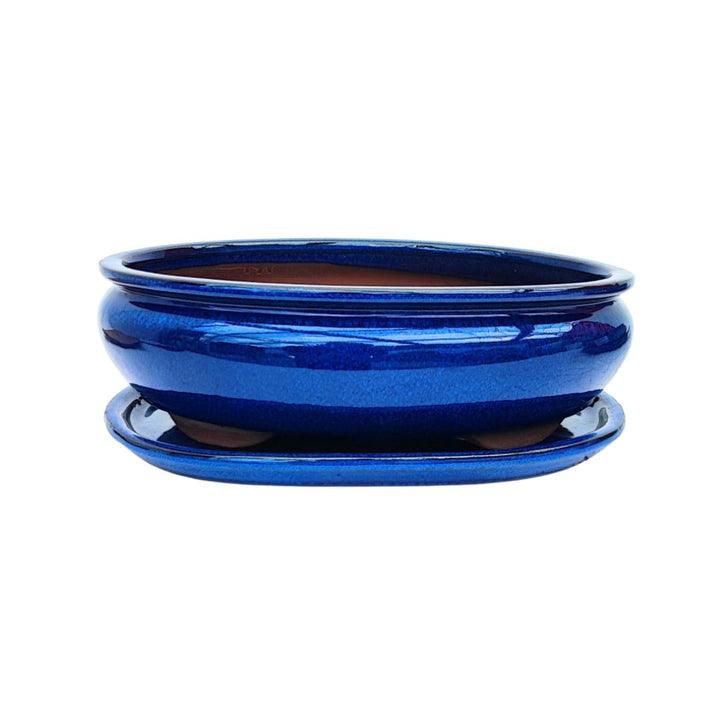Vaso ovale in ceramica smaltata blu con sottovaso per bonsai – linea BASIC CLASS