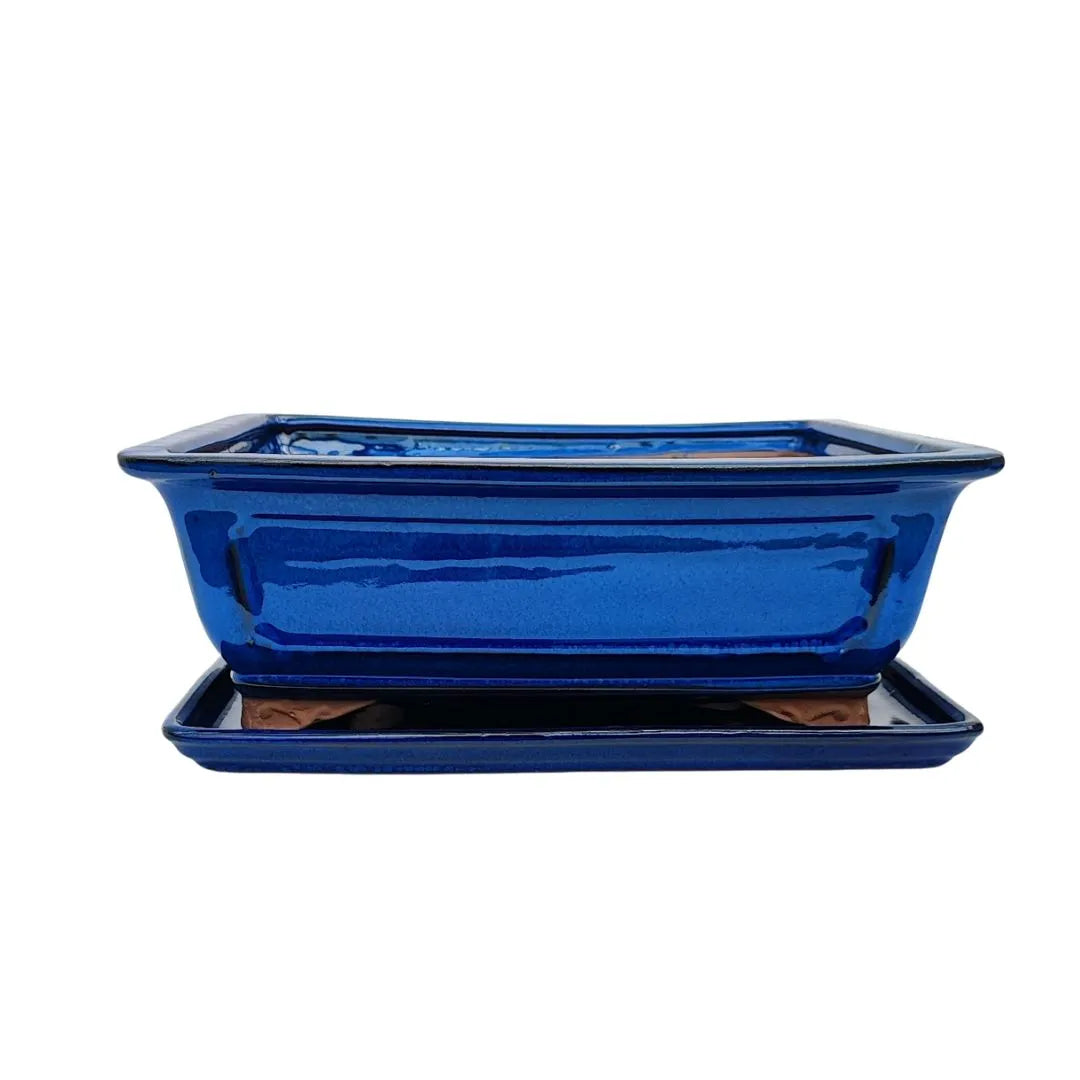 Vaso rettangolare blu lucido con sottovaso, perfetto per bonsai medio-grandi – linea BASIC CLASS