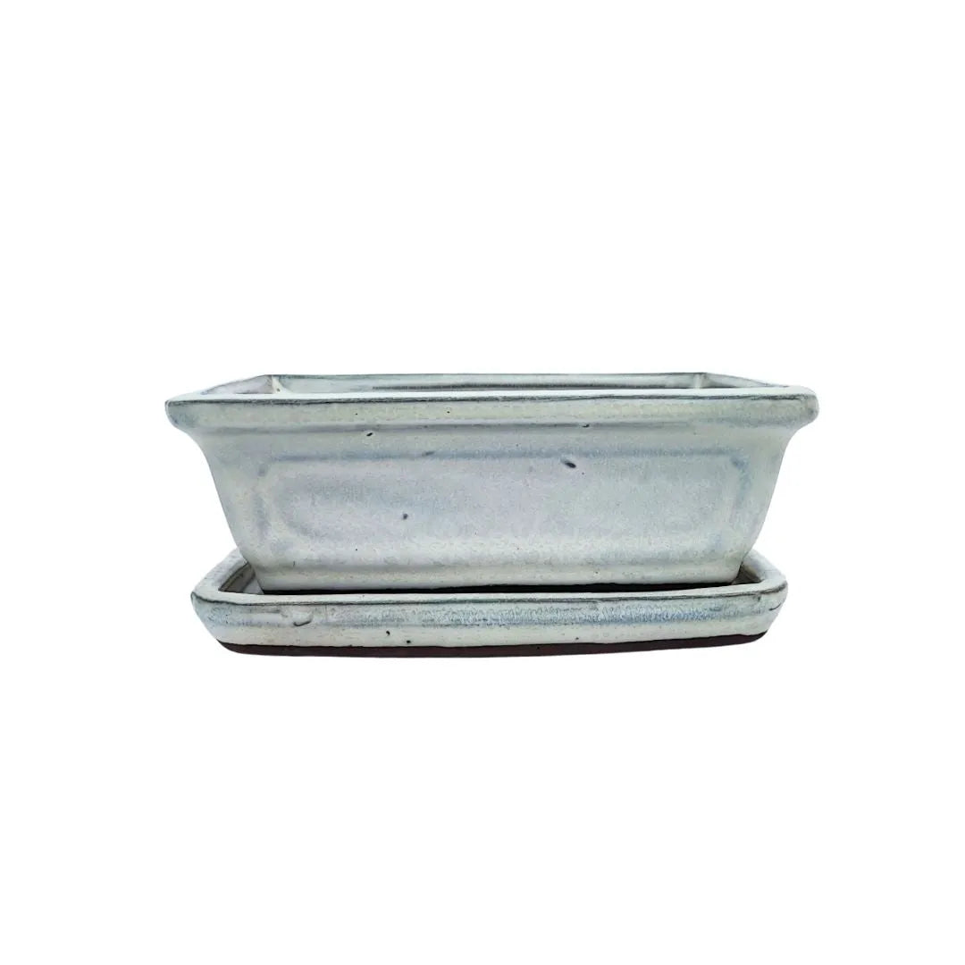 Vaso in ceramica smaltata rettangolare per bonsai, color crema, con sottovaso incluso