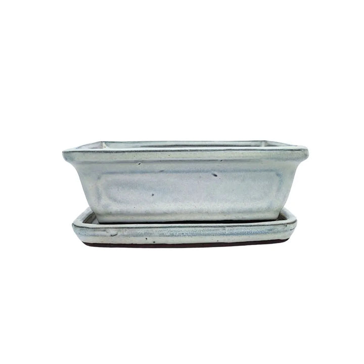 Vaso in ceramica smaltata rettangolare per bonsai, color crema, con sottovaso incluso