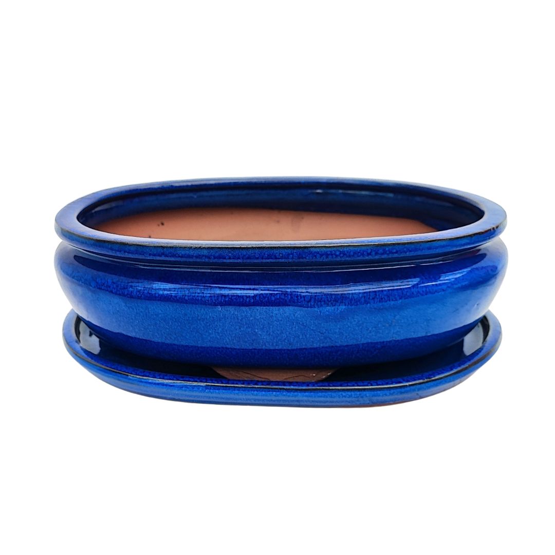 Vaso ovale bonsai smaltato verde bottiglia con sottovaso incluso – linea BASIC CLASS