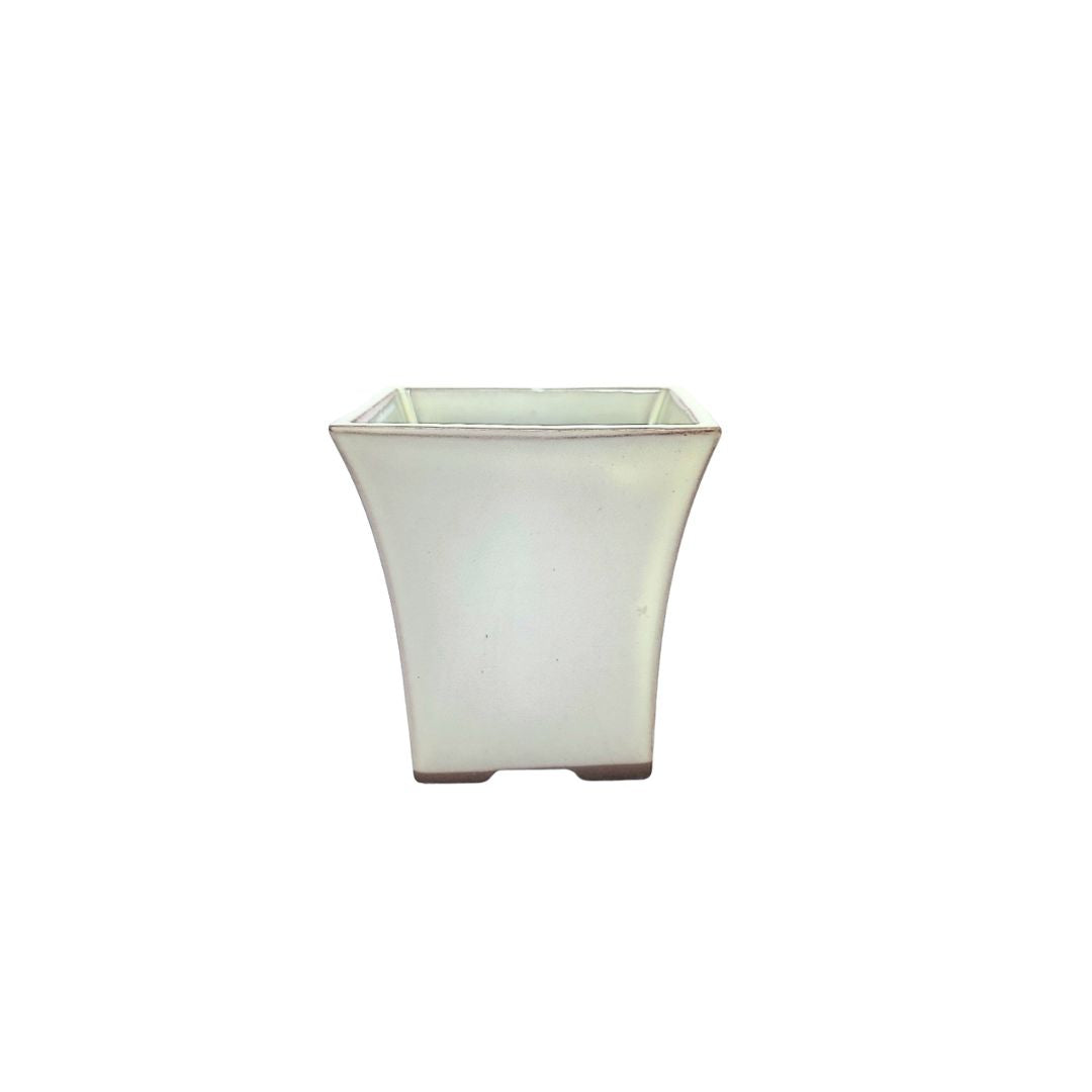 Vaso bonsai giapponese smaltato blu con design per stili Kengai e Han-Kengai, ideale per collezionisti

