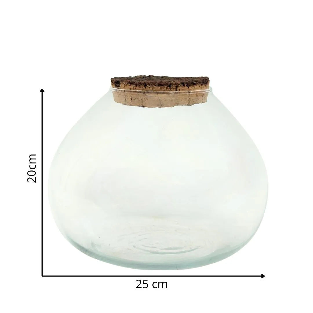 Vaso trasparente per terrarium Ø25 cm con tappo in sughero – vista dimensioni