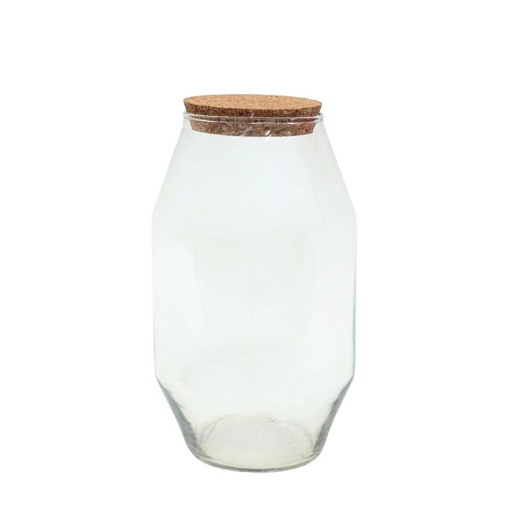 VARDAGEN Contenitore con coperchio, vetro trasparente, 0.3 l - IT