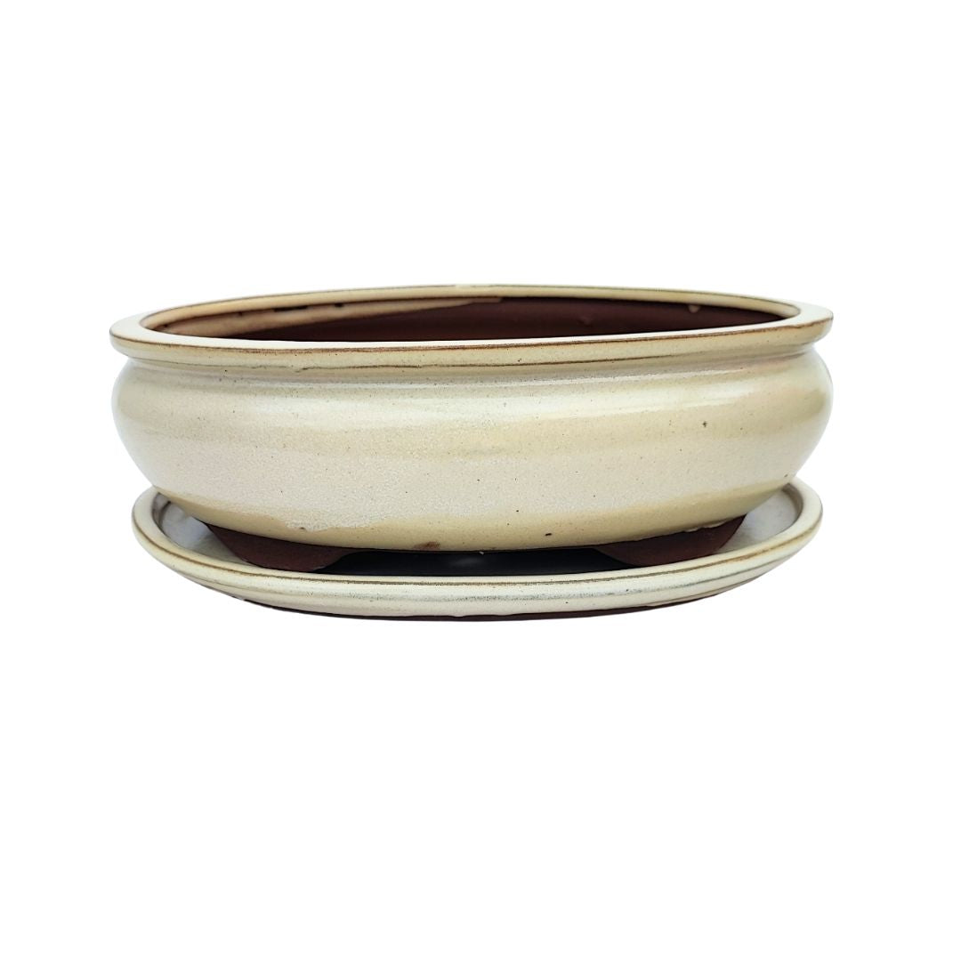  Vaso bonsai ovale in ceramica smaltata bianca con sottovaso, misura 26x20x9 cm