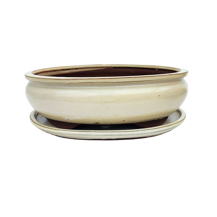 Vaso bonsai ovale in ceramica smaltata bianca con sottovaso, misura 26x20x9 cm