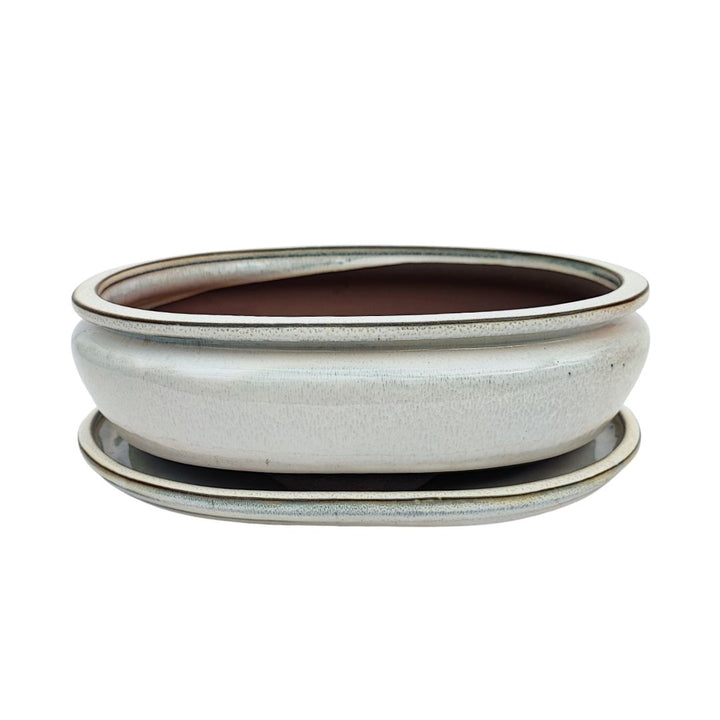 Vaso bonsai ovale in ceramica smaltata bianca con sottovaso, misura 26x20x9 cm