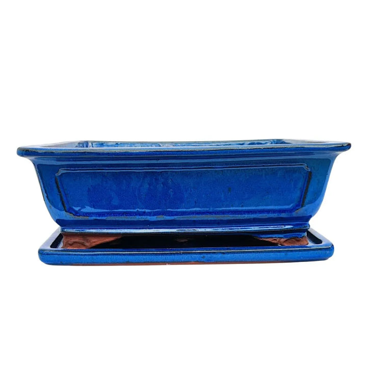 Vaso bonsai rettangolare in ceramica smaltata blu con sottovaso coordinato – linea BASIC CLASS

