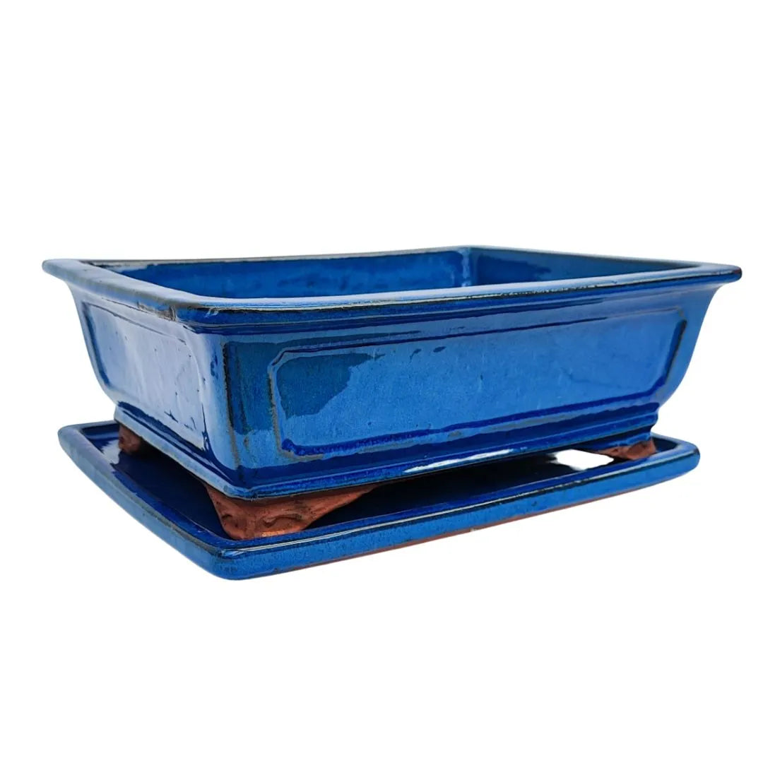Vaso rettangolare in ceramica smaltata blu con sottovaso abbinato per bonsai – linea BASIC CLASS