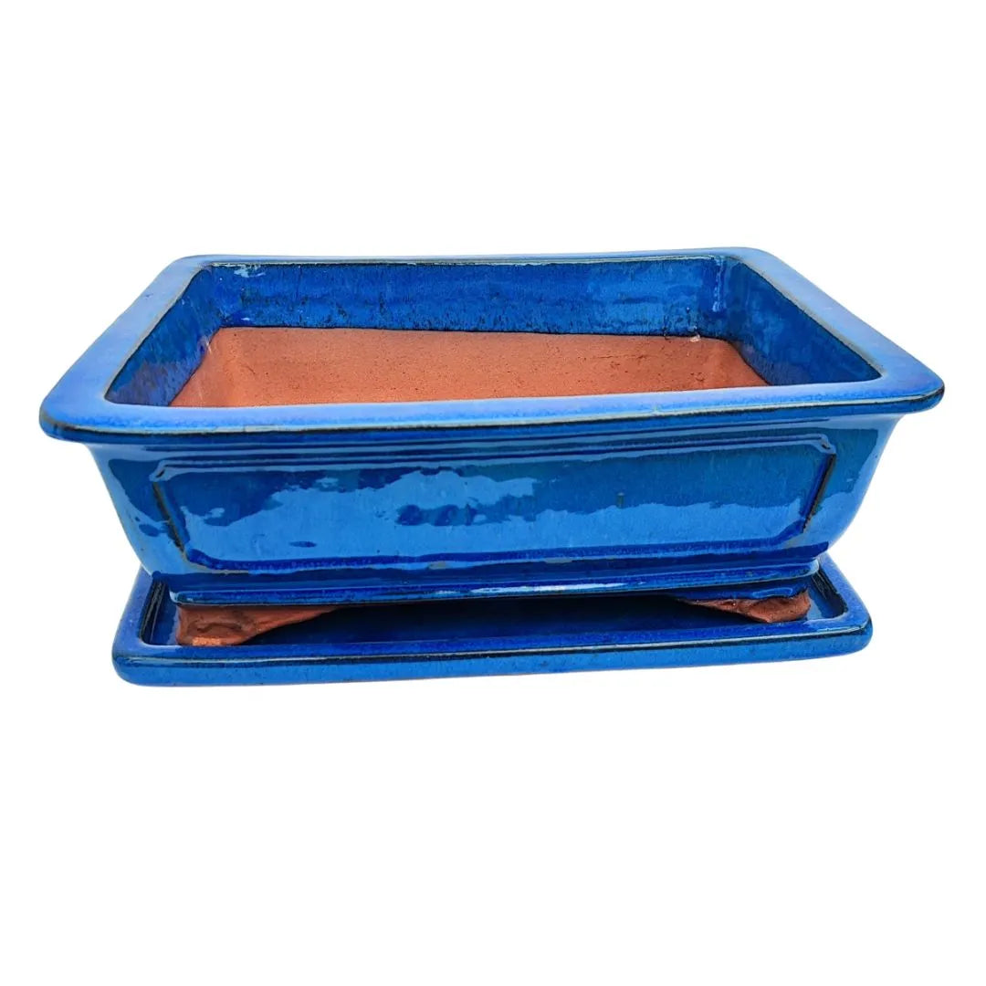 Vaso rettangolare per bonsai in ceramica blu con bordi rifiniti e sottovaso coordinato

