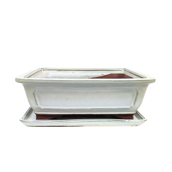 Vaso rettangolare in ceramica smaltata color crema con sottovaso – ideale per bonsai da interno