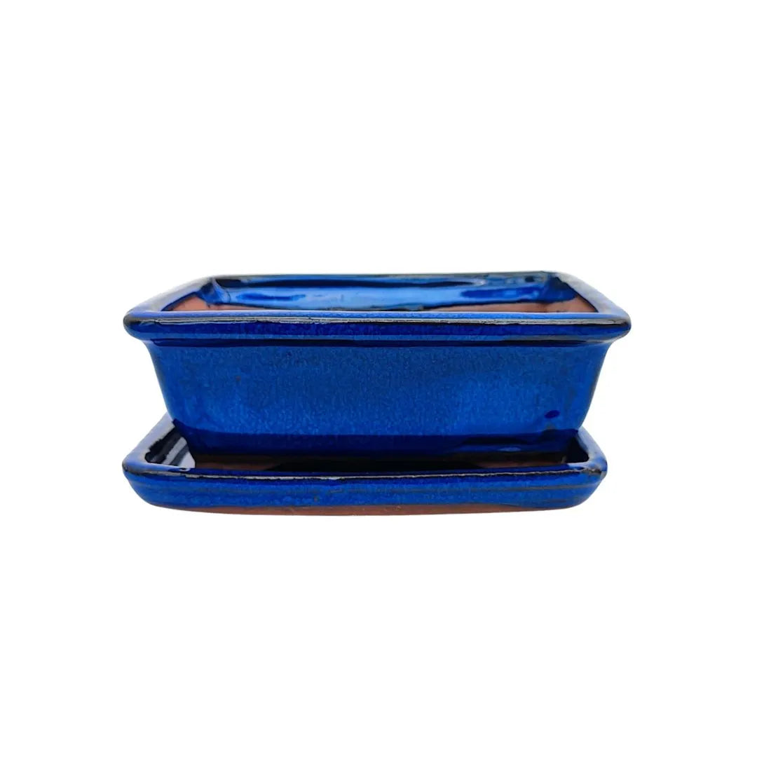 Vaso bonsai in ceramica smaltata blu, dimensione piccola, con sottovaso incluso